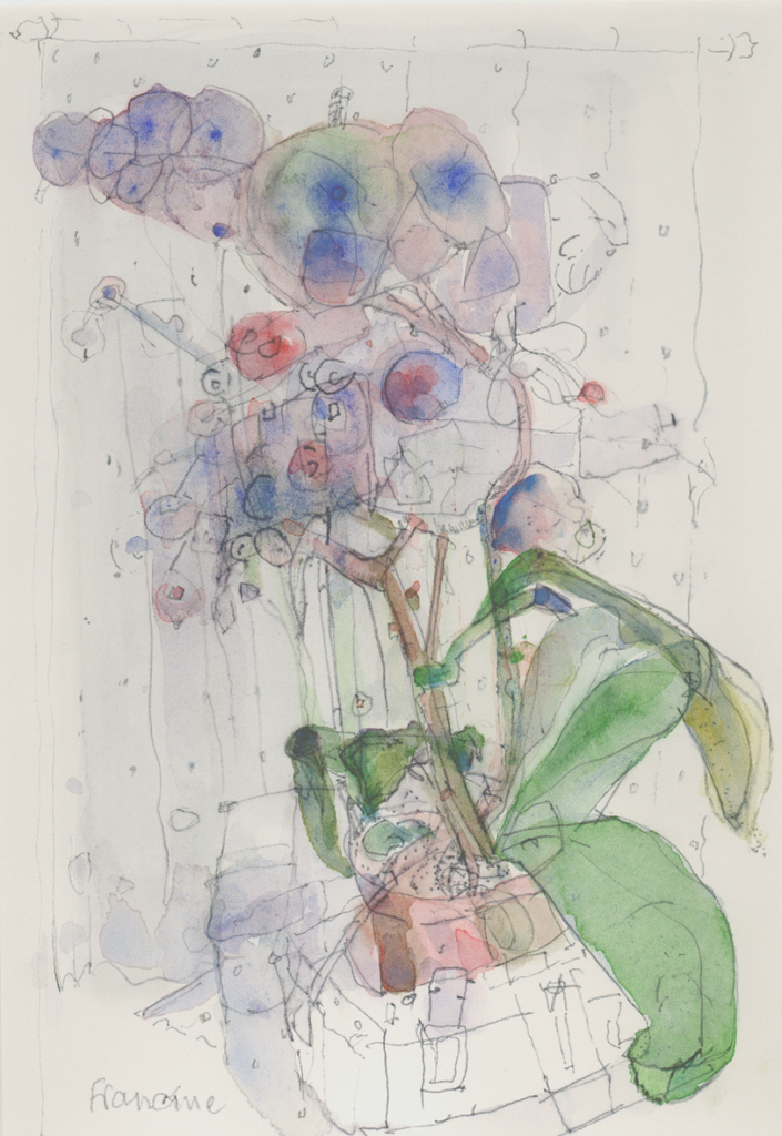 orchids Francine Kuypers watercolour "Orchids"
